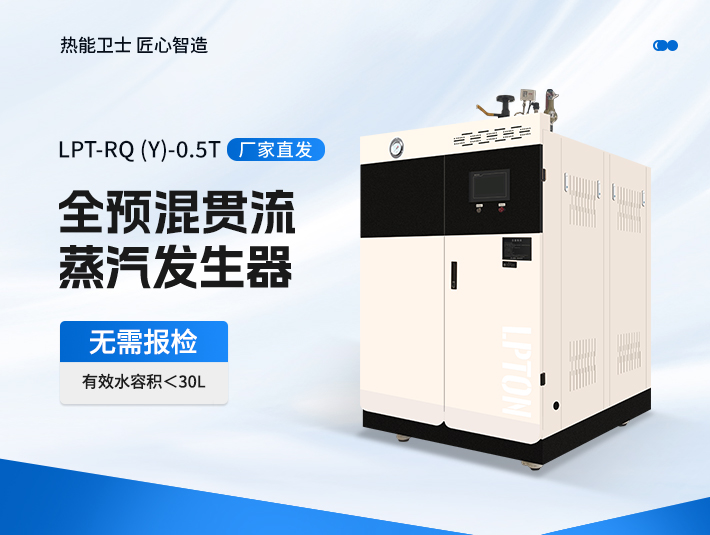 0.5t全預(yù)混燃?xì)庹羝l(fā)生器